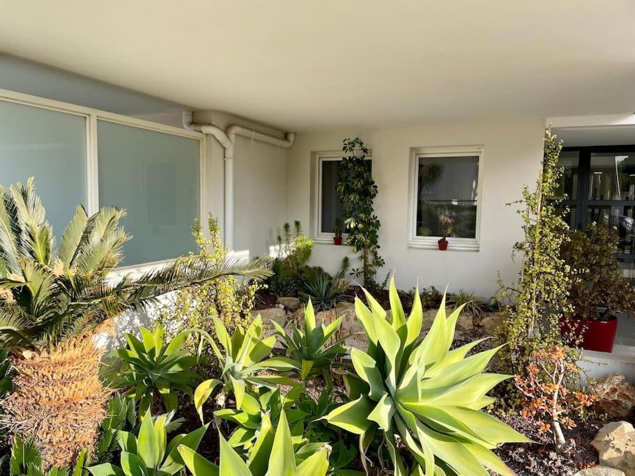 Ferienwohnung 21 - Tres Agreable Rdc Avec Terrasse Et Parking Bandol Exterior foto