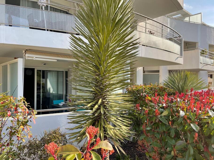 Ferienwohnung 21 - Tres Agreable Rdc Avec Terrasse Et Parking Bandol Exterior foto