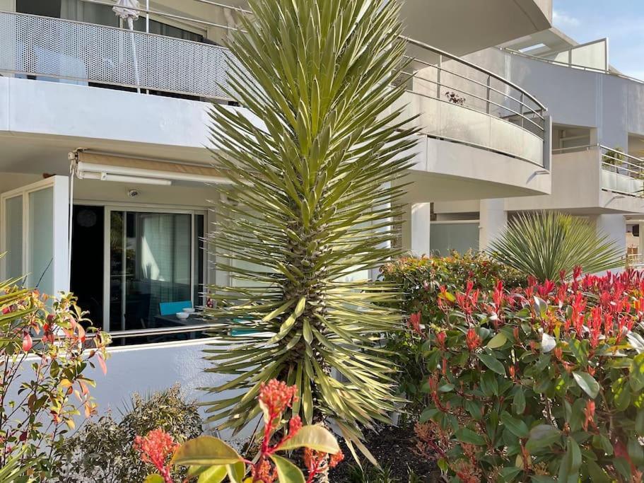 Ferienwohnung 21 - Tres Agreable Rdc Avec Terrasse Et Parking Bandol Exterior foto